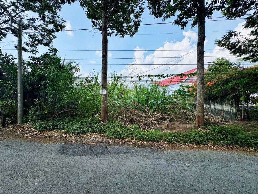 Bán 230m2 đất mặt tiền Lộ Cái Chanh